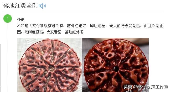 尼泊尔大金刚与落地红的简单区别,印尼大金刚就是落地红吗