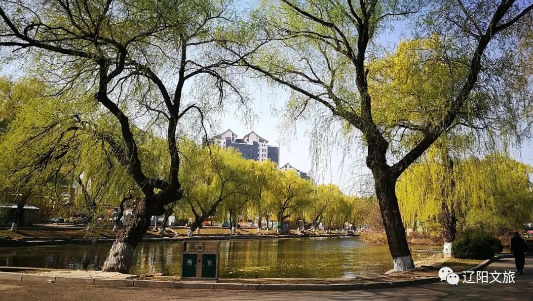 辽阳迎春灯会,辽阳迎春晚会