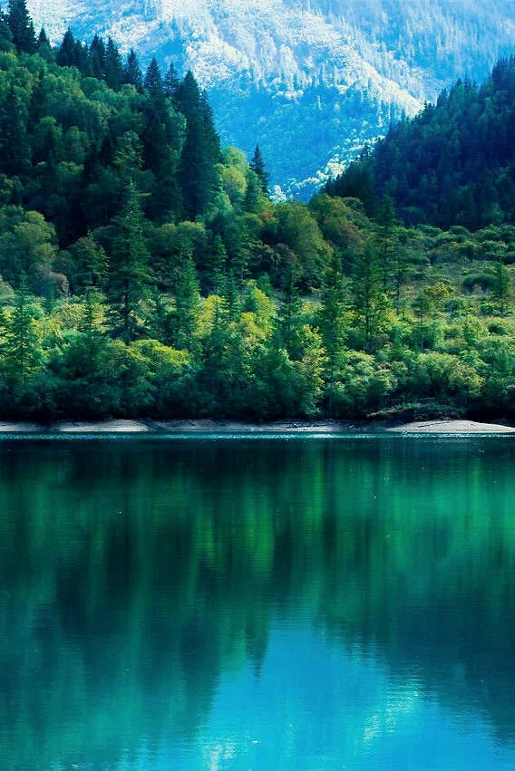 所谓的康养是真的吗,太顺太极