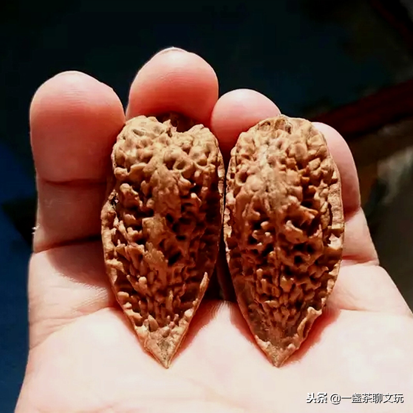 楸子核桃青皮,楸子核桃为什么没有盘玩价值