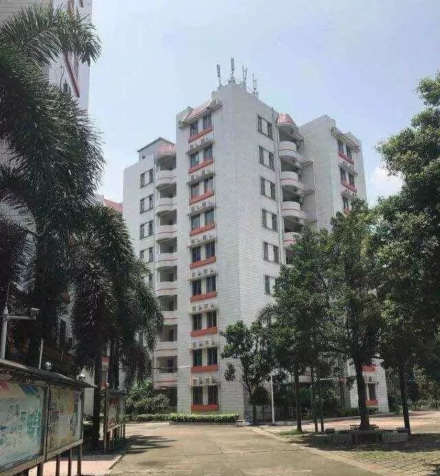 广东南华工商职业学院2024招生,2019年广东南华工商职业学院