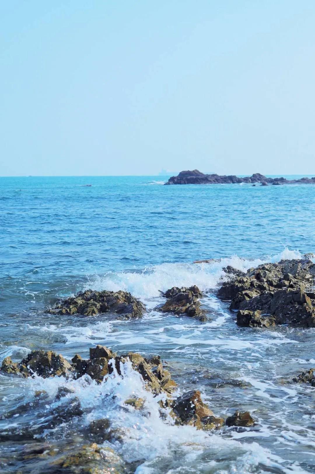 均温20℃的海滨老城，紫色泡桐花美得像国外，现在去性价比超高