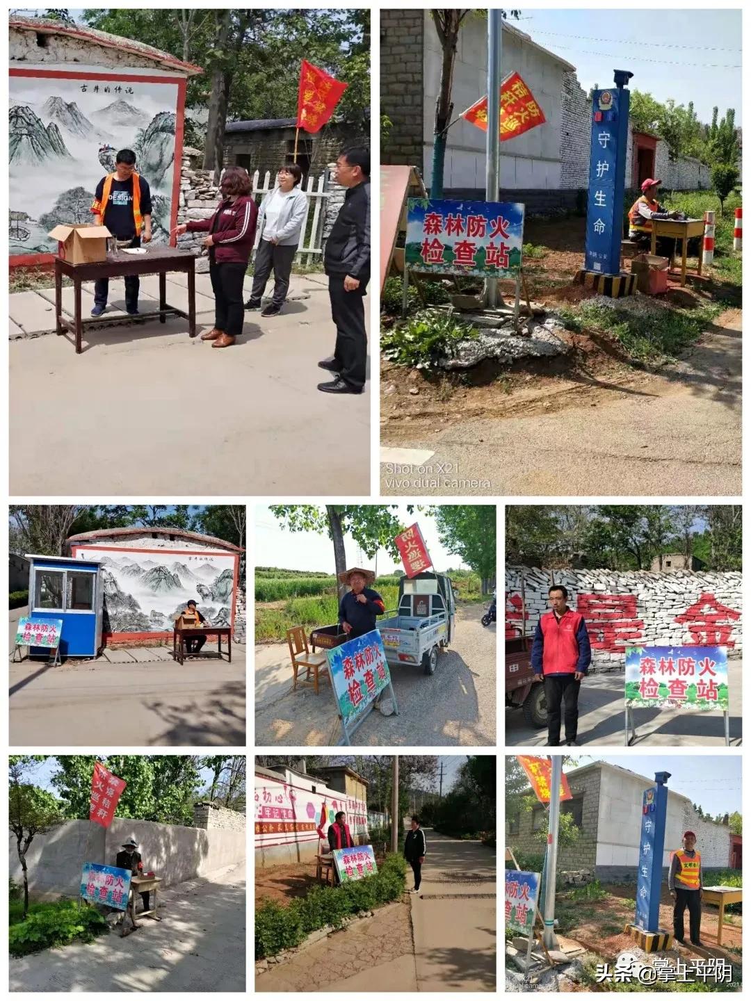 平阴新闻|我县物流发展工作迎调研；玫瑰花保险监测价格：花冠14.3元/斤