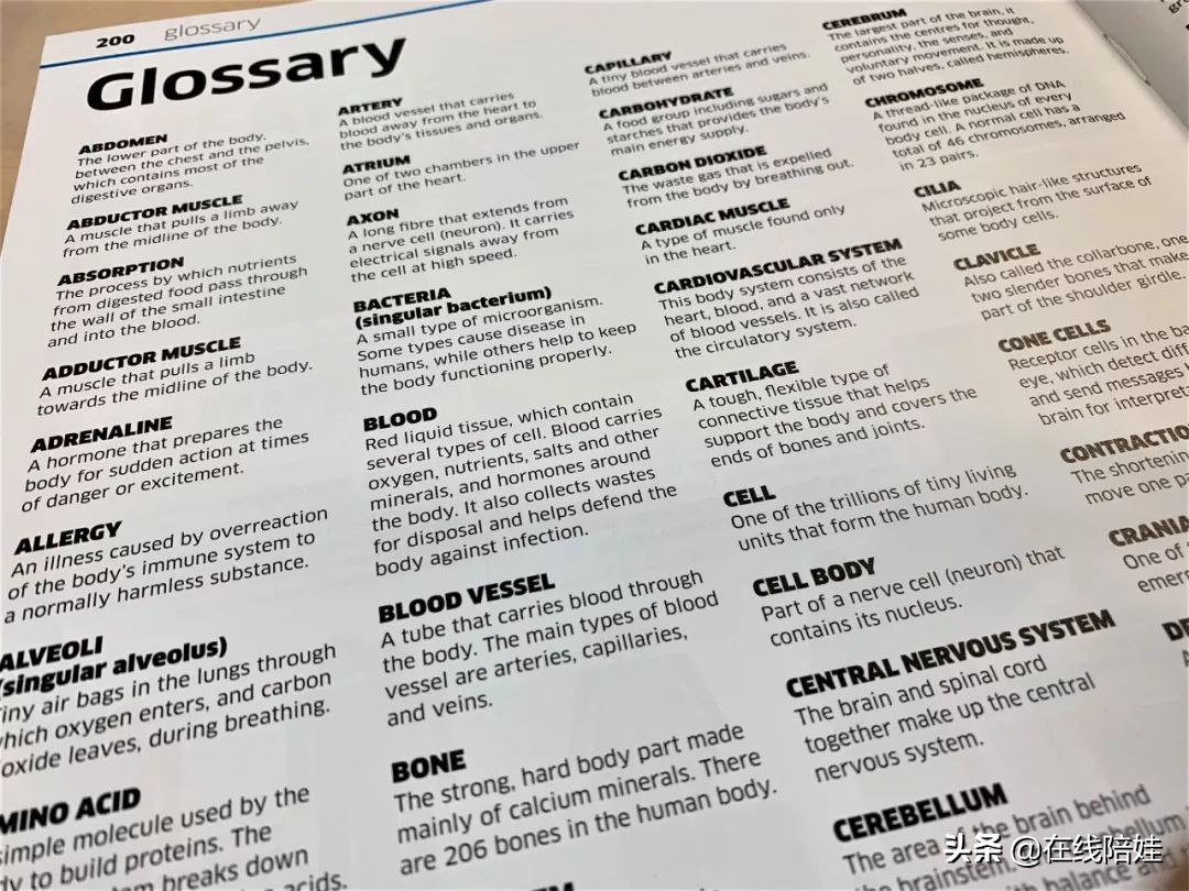 dk知识大百科全套,dk知识大百科书金银版