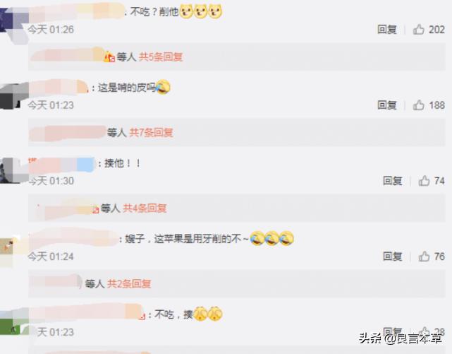 郑敏去岳云鹏家吃苹果,岳云鹏郑敏对岳云鹏的作用