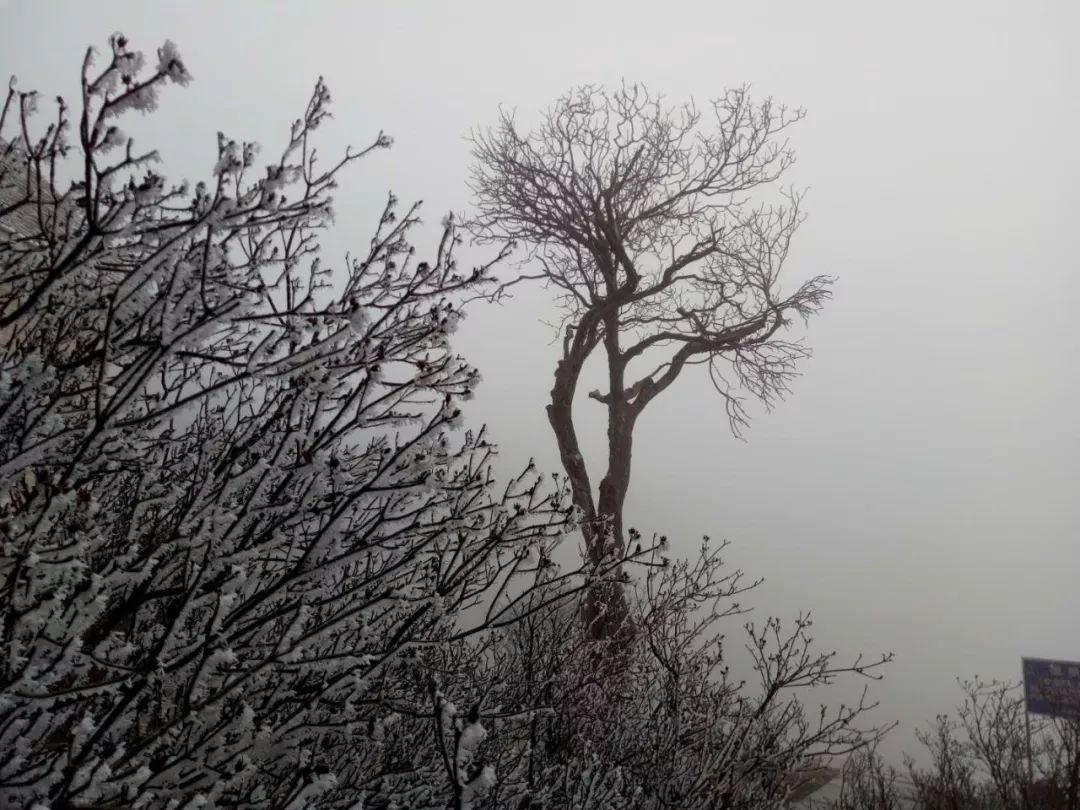 2019已过去迎接新的2020已到来,广西之旅2019