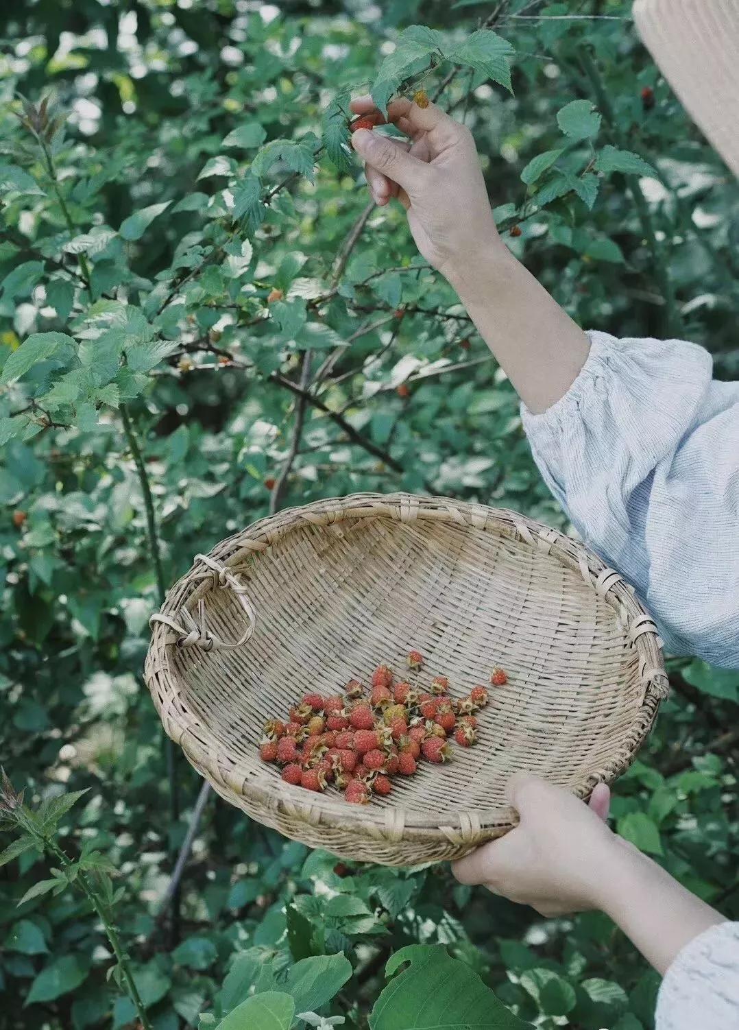 80后夫妻住山,80后两口子隐居大山