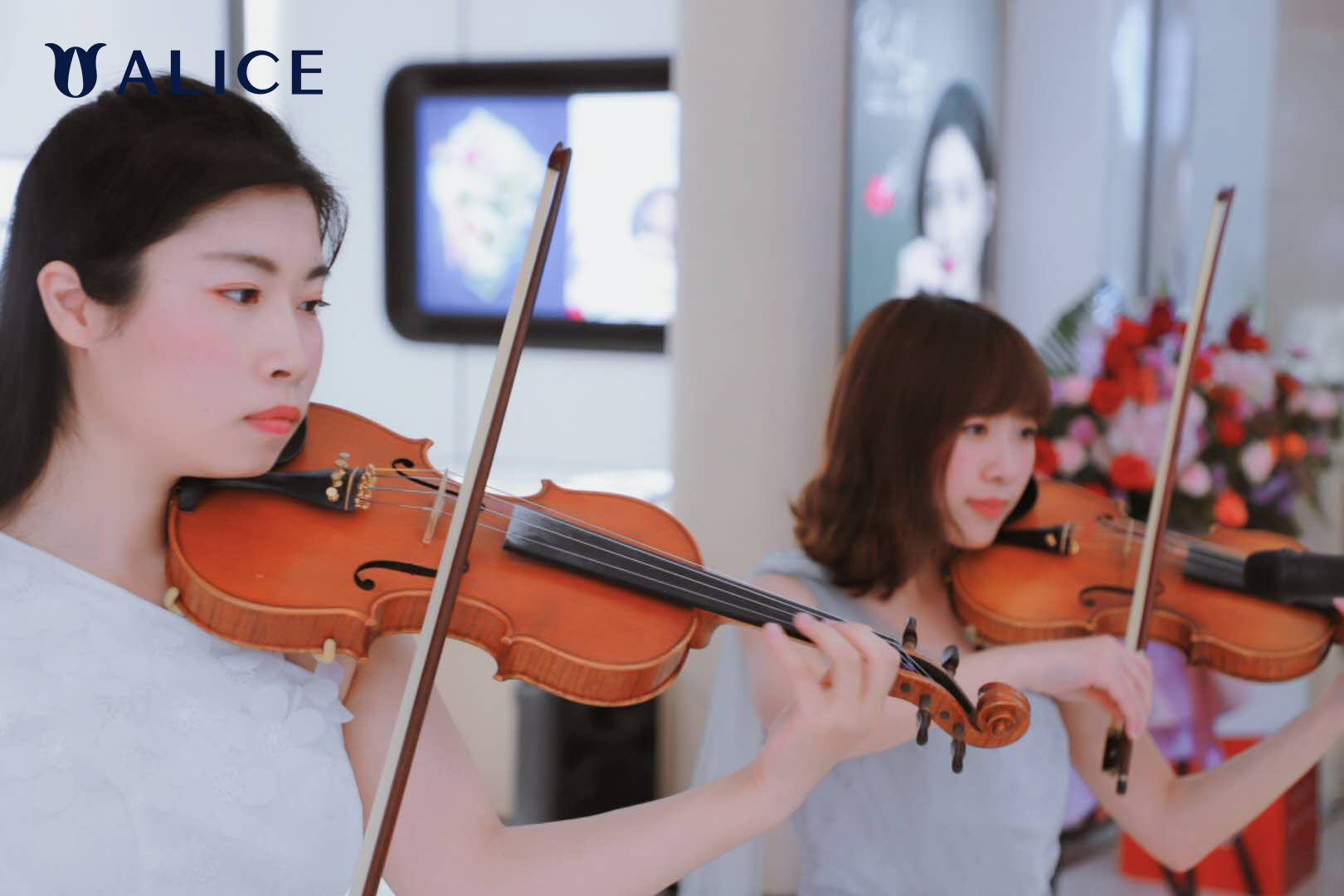 爱丽丝珠宝开业,爱丽丝alice旗舰店