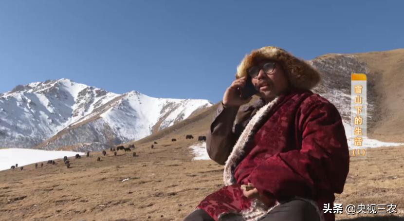 贫困户申请*款贷**2年都被拒绝，什么情况？