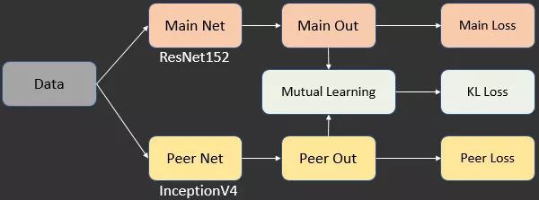 扫一扫识物的技巧,微信扫一扫识物识别怎么设置