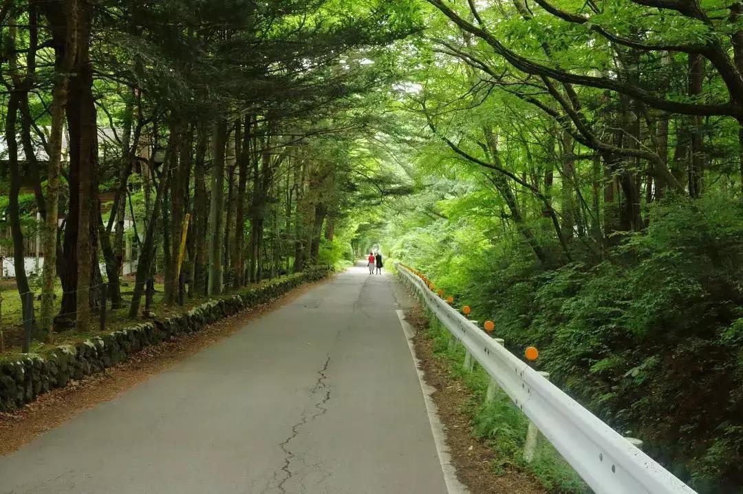 日本东京旅游攻略小众景点,日本东京小众旅游攻略