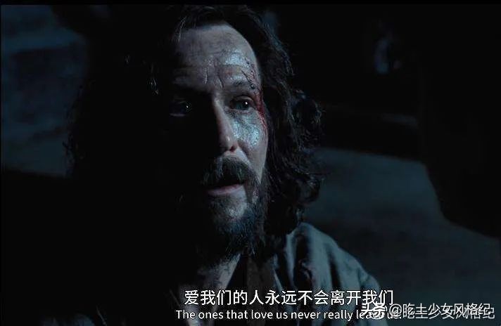 哈利波特四十岁生日的样子,哈利波特十九年后