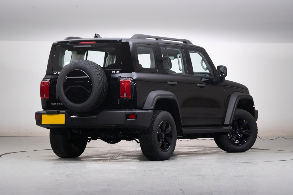 坦克300到底怎么样,坦克300到底搞不搞