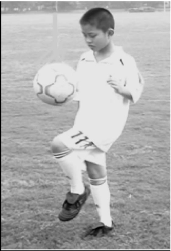 足球基本知识与技术教案,足球基本技术的图片