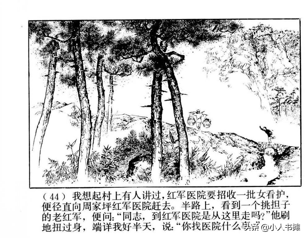 朝阳花-上海人民美术出版社1981陆成法陆小弟绘「上」