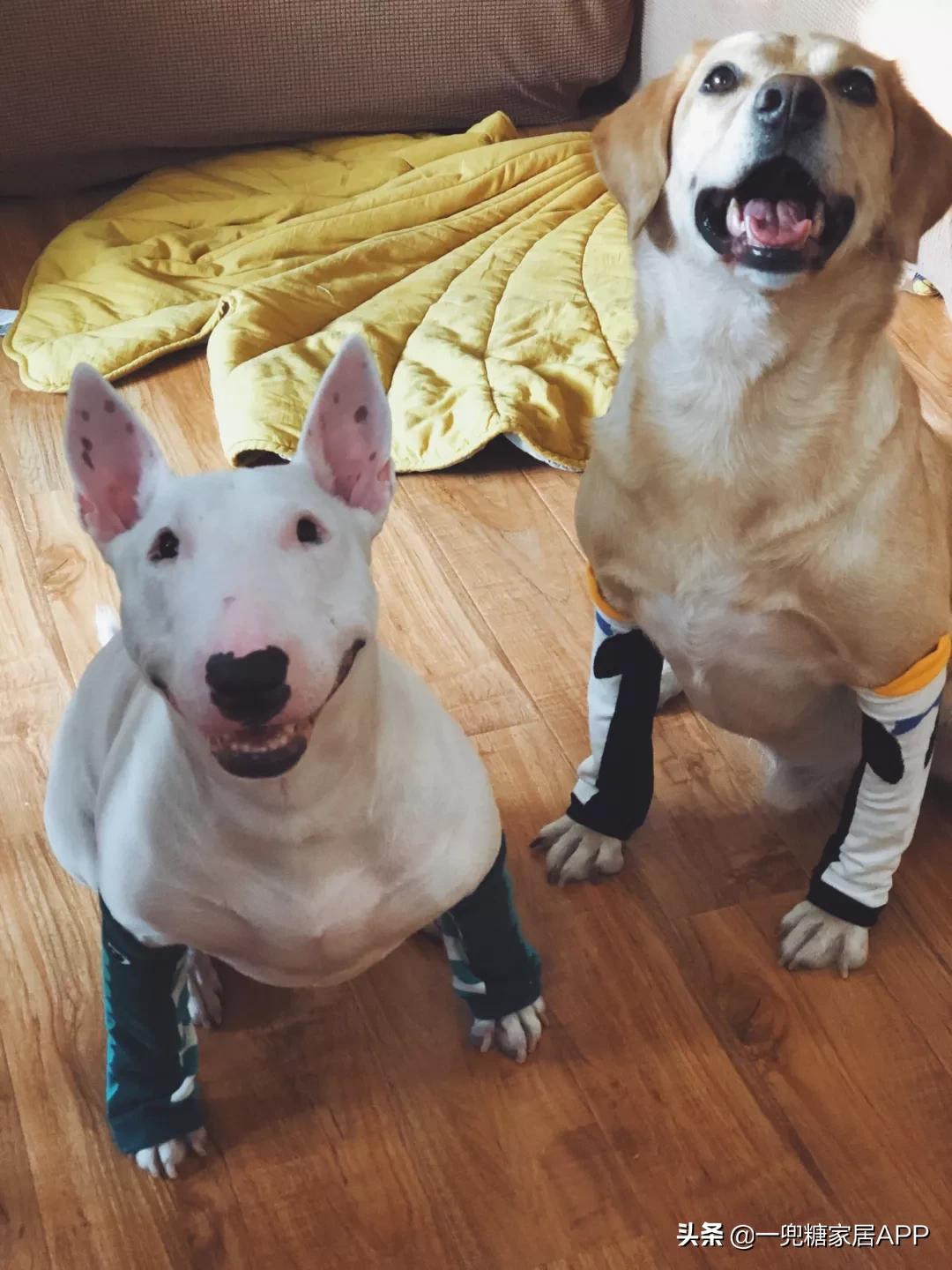 瀹跺眳鏀剁撼鏁寸悊濂界墿鎺ㄨ崘,瀹惰瀹炵敤濂界墿鍒嗕韩瀹跺眳鏀剁撼