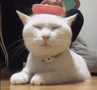 最详细的洗头教程,怎么才是正确的洗头方法