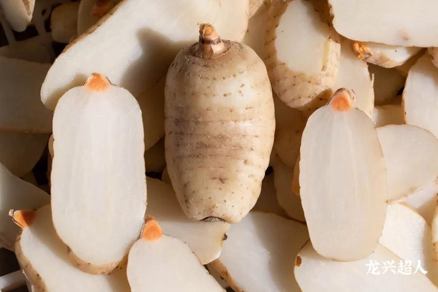 安徽道地药材天麻,天麻的道地药材