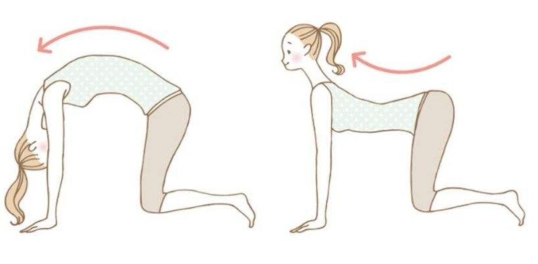 产后漏尿、便秘、腰酸背痛？这个盆底肌训练你一定要收藏