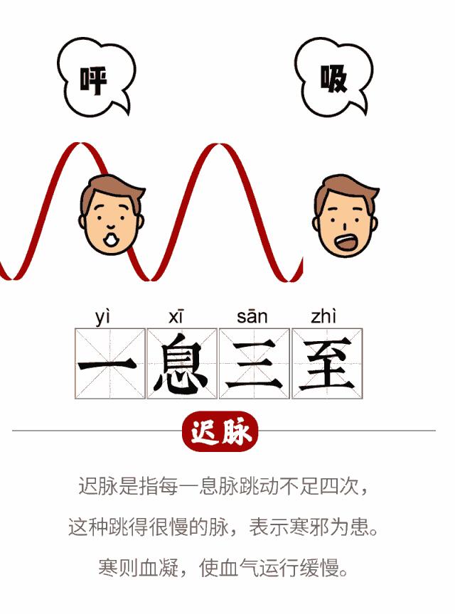 手腕脉象依次代表什么,手腕脉象对照表