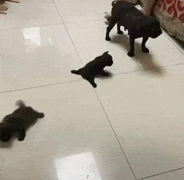 30种网赚骗术套路揭秘超深度干货,常见的20种网赚骗术揭秘