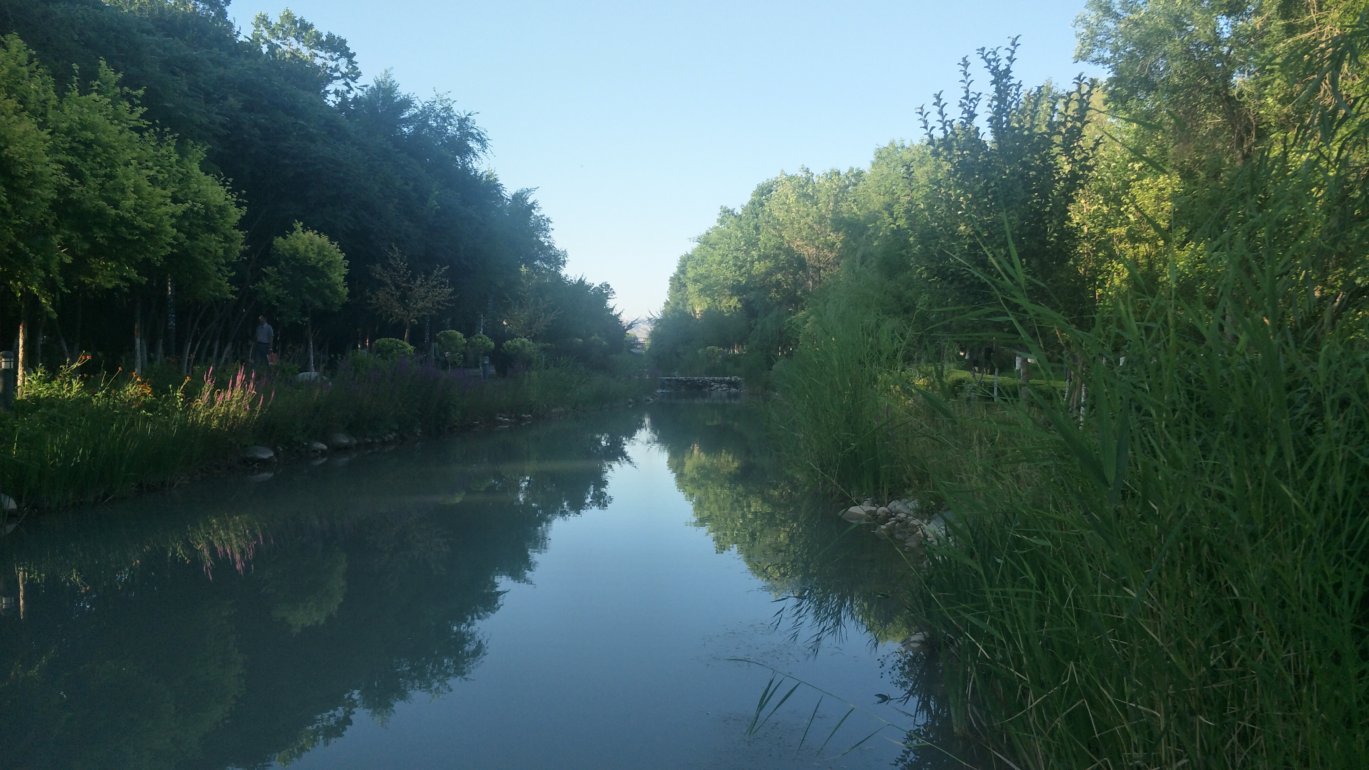 「石河子大学」并不遥远