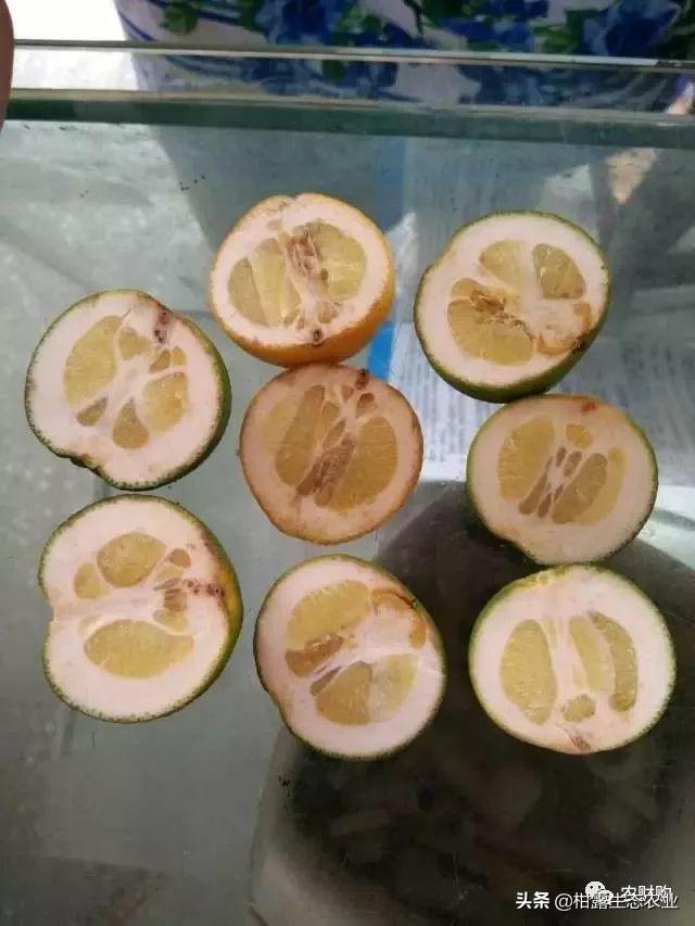 作物虫害识别大全图谱,果园物理防控虫害的方法