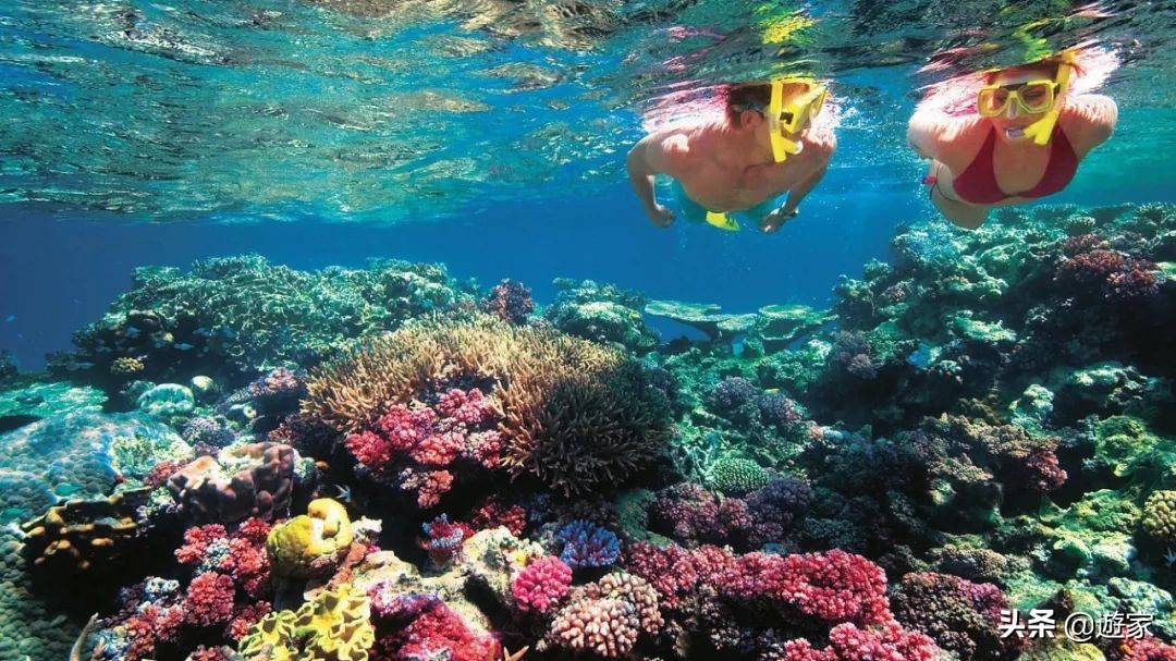 泰国哪些海岛值得去旅游,泰国岛屿排名前十海岛