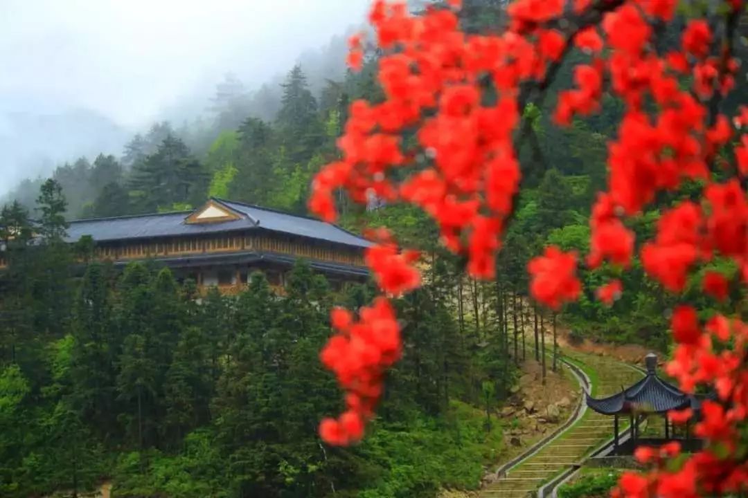 羊狮慕云端音乐节,羊狮慕风景区音乐节