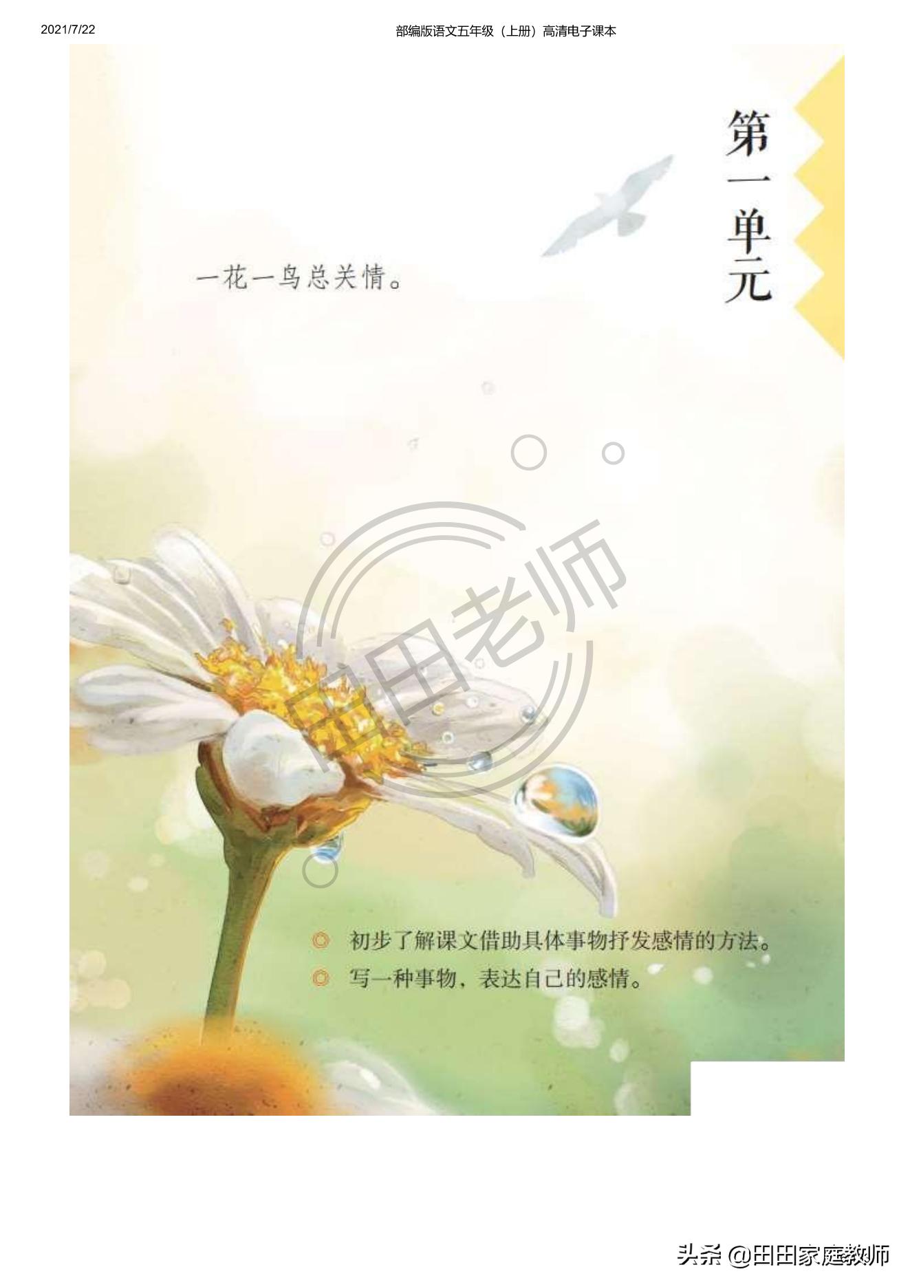 部编版语文五年级下册电子课本,部编五年级上册语文电子课本