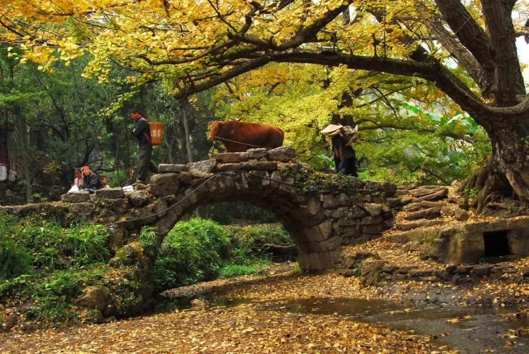 贵州黔东南为什么那么火,黔东南在贵州算不算穷的地方