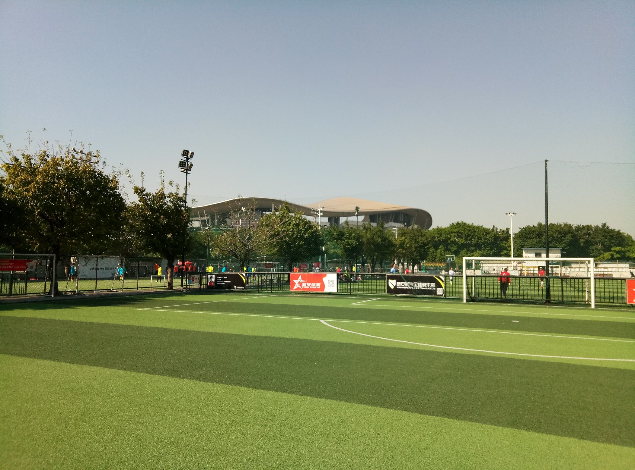 刘殿座为何不能成为国足主力门将,刘殿座足球世预赛