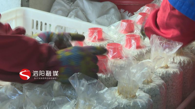 强化责任担当抓实三农工作,抓实基层党建凝聚发展合力