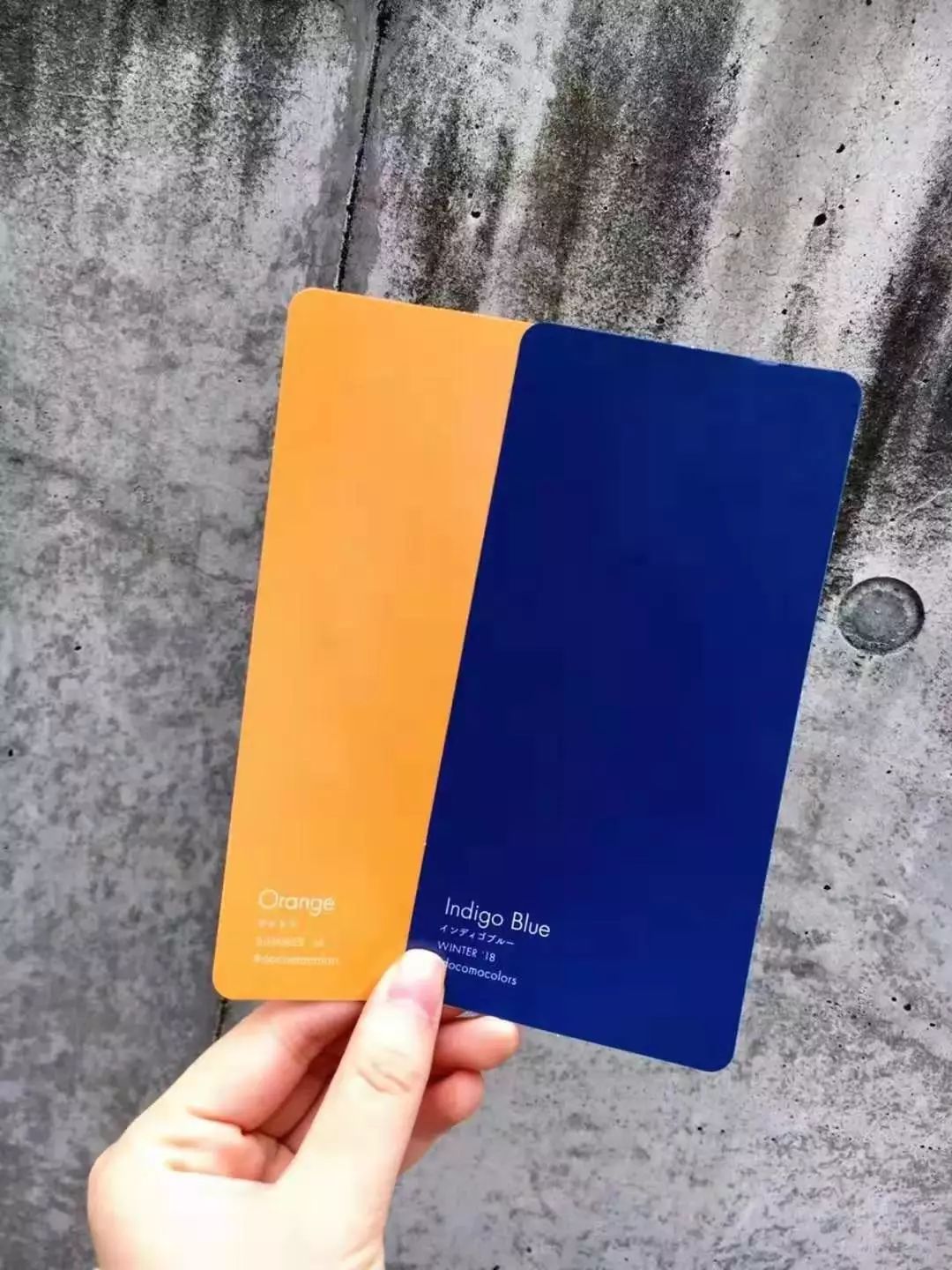 七月念“雀”,意思是七月像小鸟一样飞走了