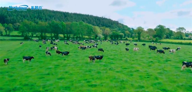 疫情直邮奶粉,疫情期间德国直邮奶粉