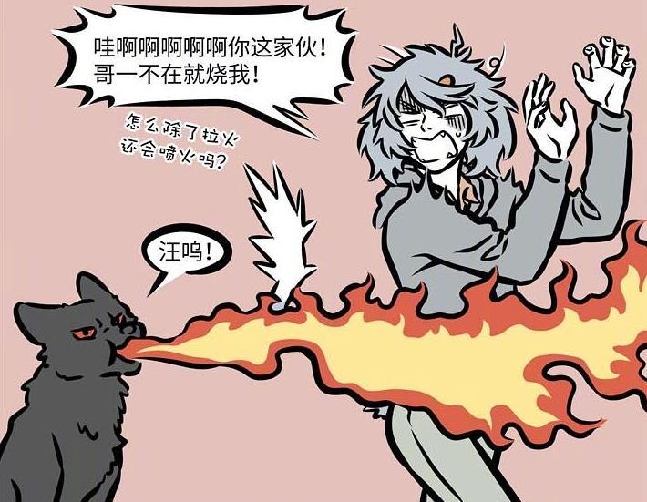 非人哉哮天是魏玛犬吗,非人哉哮天犬叫什么名