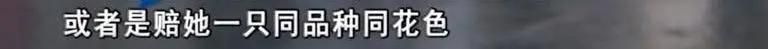 寄养“恶霸”离奇暴毙，医生说，可能是热的……