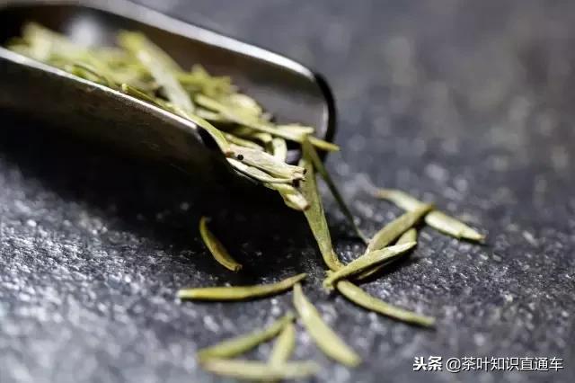 红茶绿茶冷知识,女生绿茶冷知识
