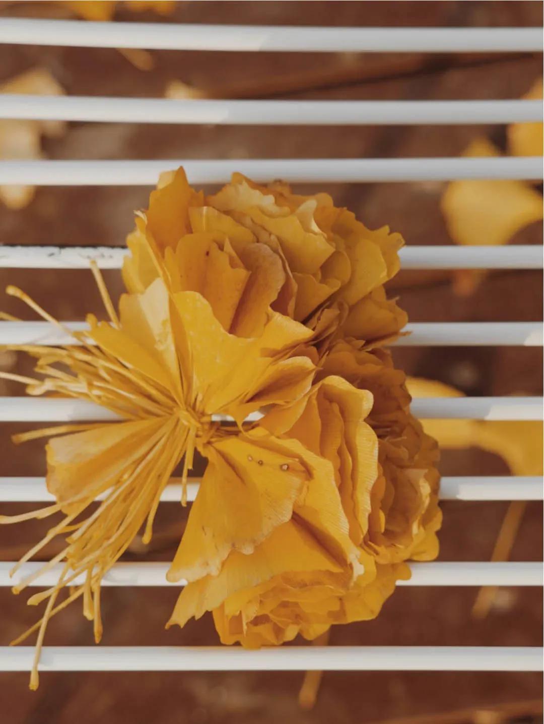 银杏树叶如何做玫瑰花,银杏叶如何制作玫瑰花