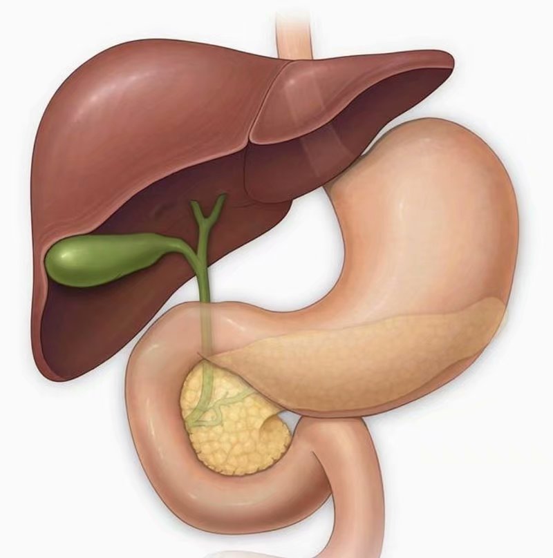 舌诊脉诊分析合集,舌诊实战分析