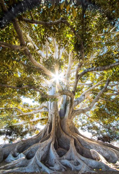 无需任何道具，手机这样轻轻一倒，大片随手拈来