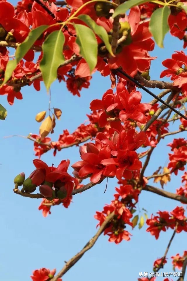 晨读激励人心的美好句子,晨读生命中遇到的每一个人