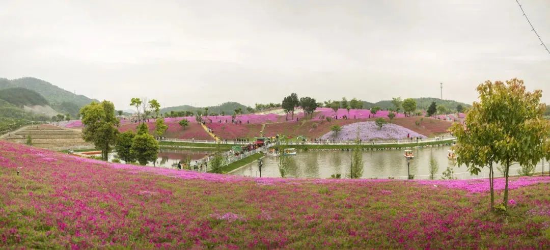 金华五一打卡景点推荐,金华最美村落在哪里