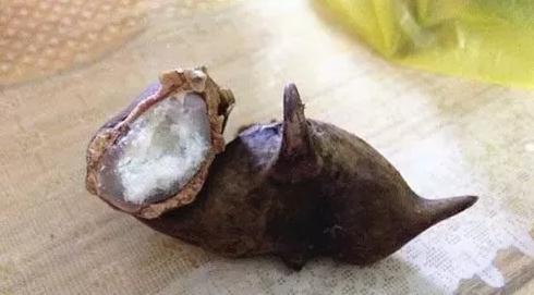 通赢天下怎么样,通赢天下