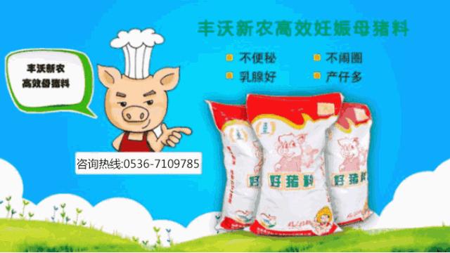 6月18日毛猪价格行情,农业农村部新闻猪价发布会