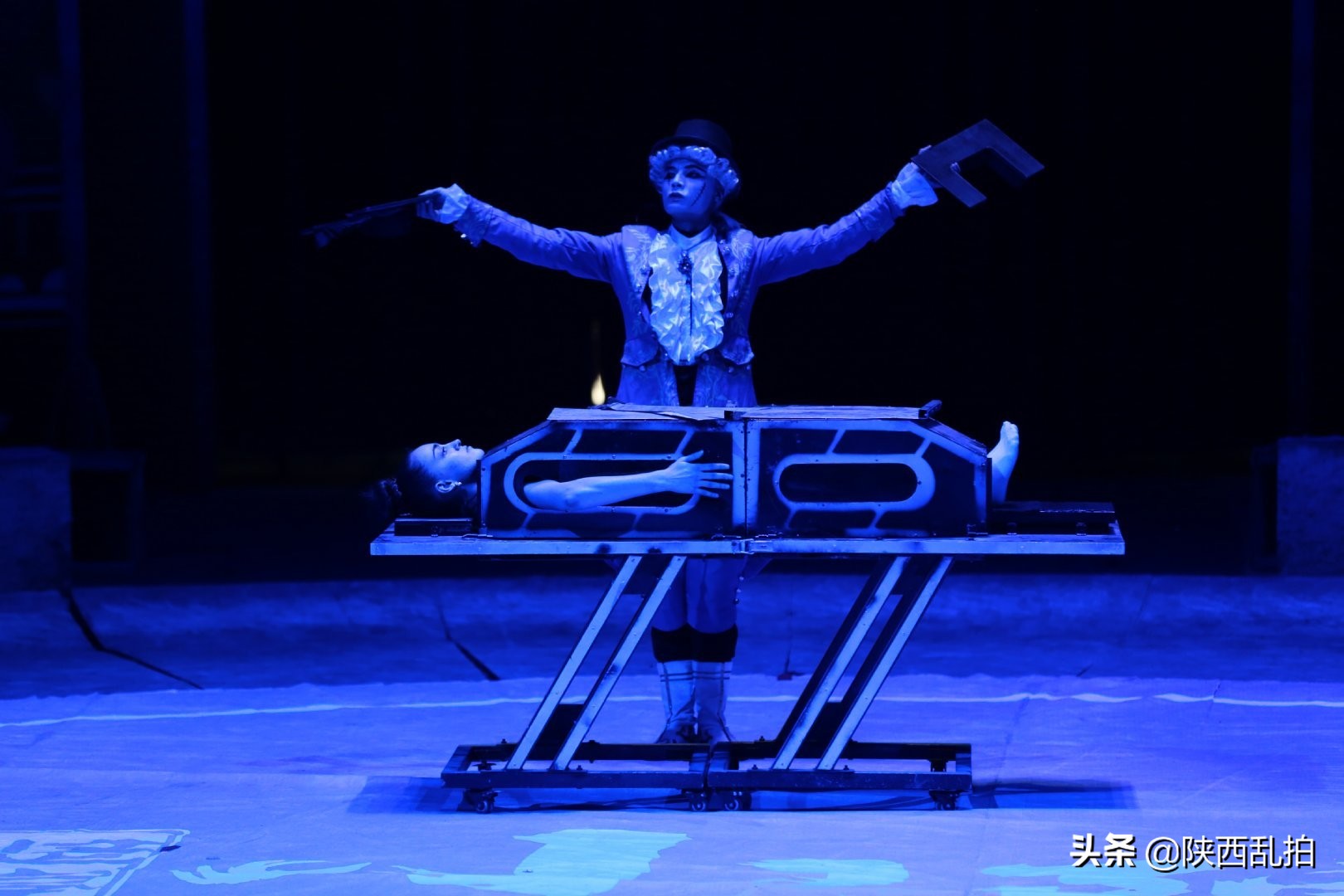 全家大马戏,全家总动员国庆