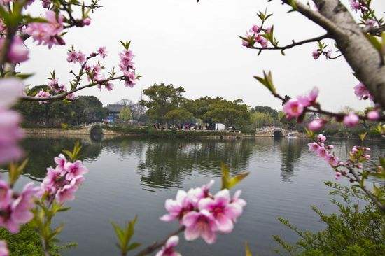 举头见明月,曾照狂歌人——古诗风韵话临沂