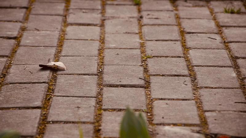 踏云追风,任你随心所欲:诺诗兰SKYECO徒步鞋体验