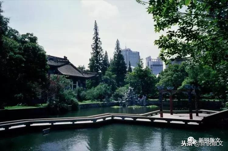 午后的随园，游人如织，个个谨肃认真，敛声屏气