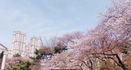 韩语入门学习零基础视频教程,韩语学习小白教学
